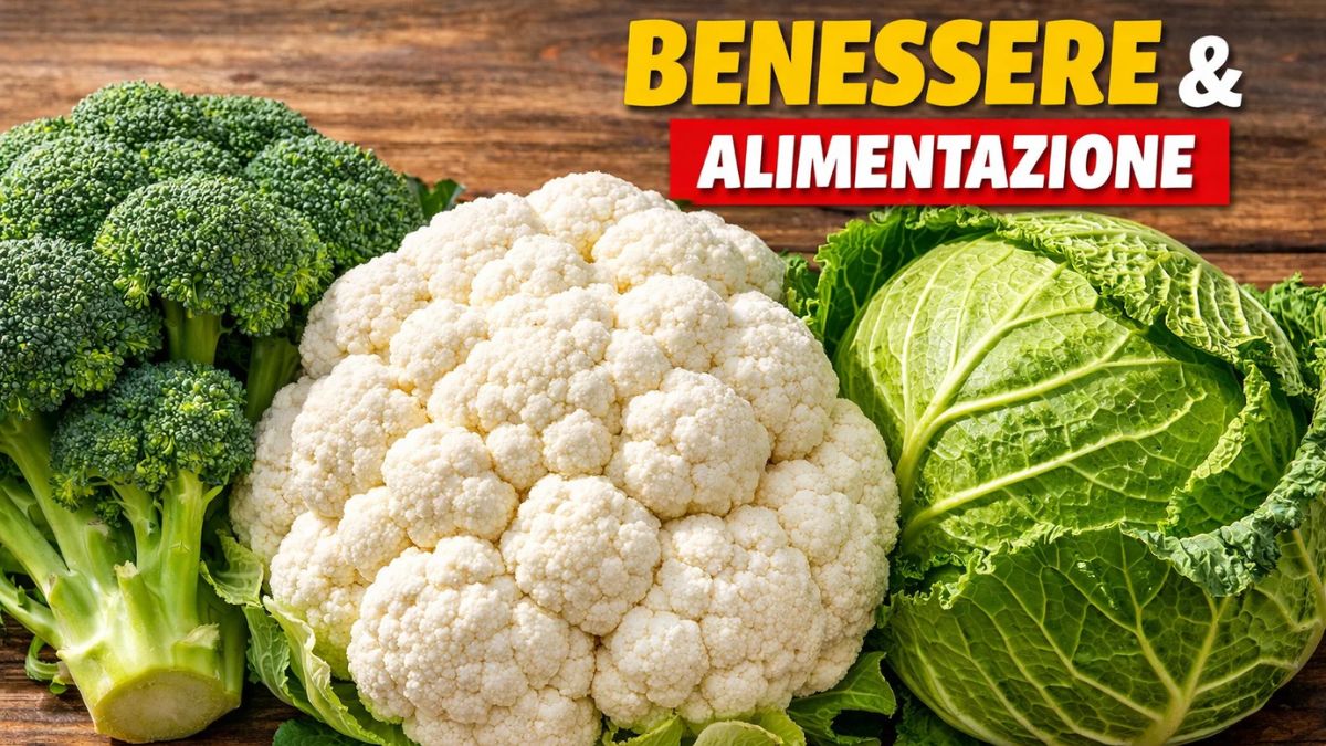 Molti non lo sanno, ma cavolfiore, broccoli e cavolo sono in realtà diverse varietà della stessa pianta